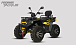 Квадроцикл PROMAX TAURUS 300 MAX-PRO LONG в Златоусте